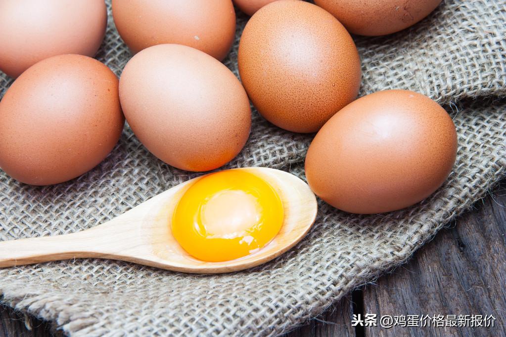 曹县鸡蛋价格最新-曹县鸡蛋行情速览