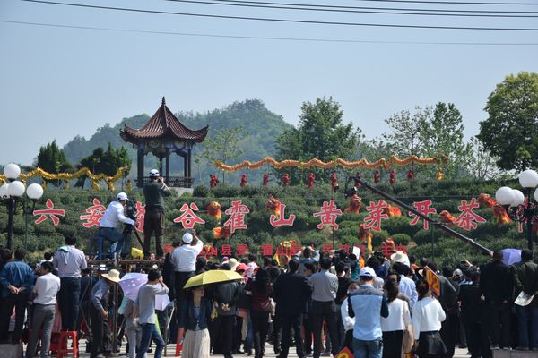 霍山诸佛庵最新消息-霍山诸佛庵最新动态