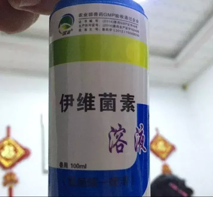 伊维菌素在新冠病毒治疗中的应用进展