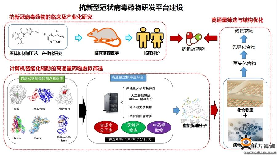 新冠状病毒治疗新进展，健康之路再添希望之光