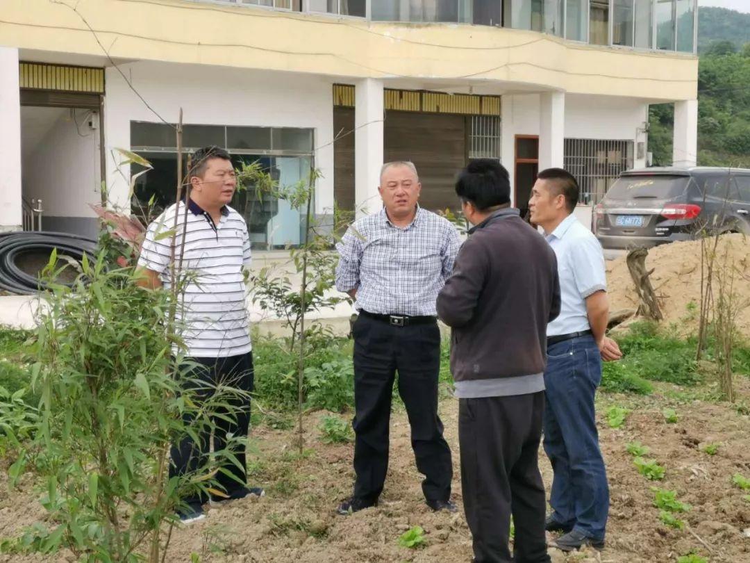 绿意盎然的小草坝三道村美景新赏