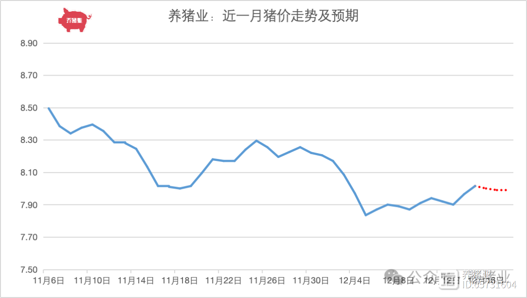 樱花昨梦